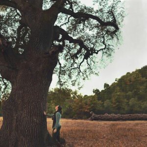 hoe verhoud ik me tot mijn omgeving