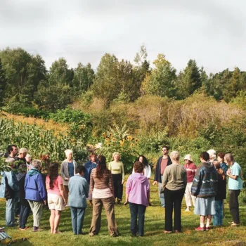 afbeelding ve cursus